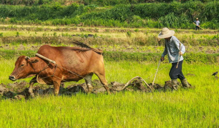 农耕劳作